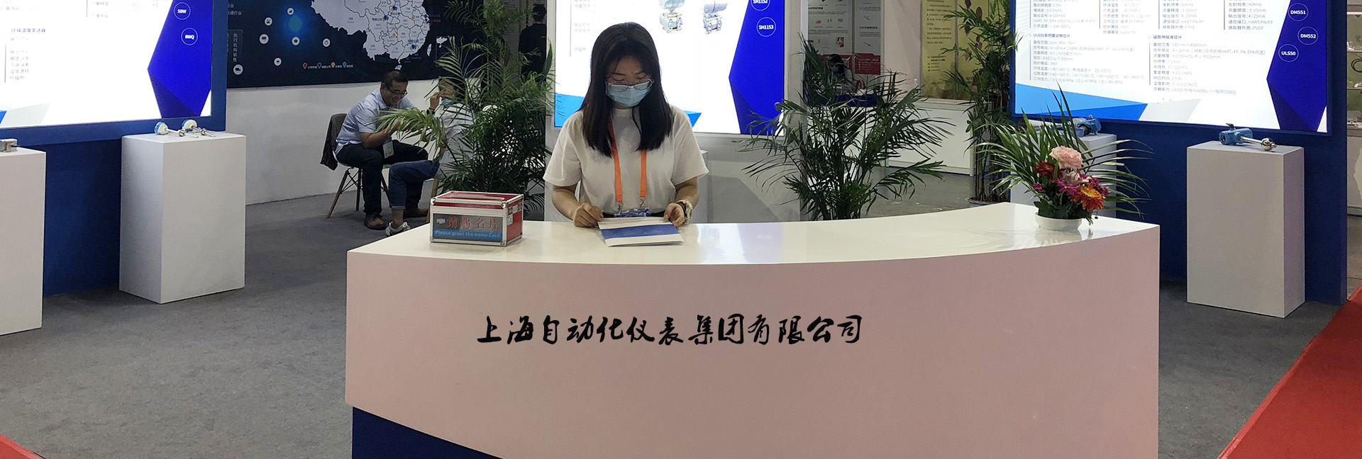 上海自动化仪表集团有限公司